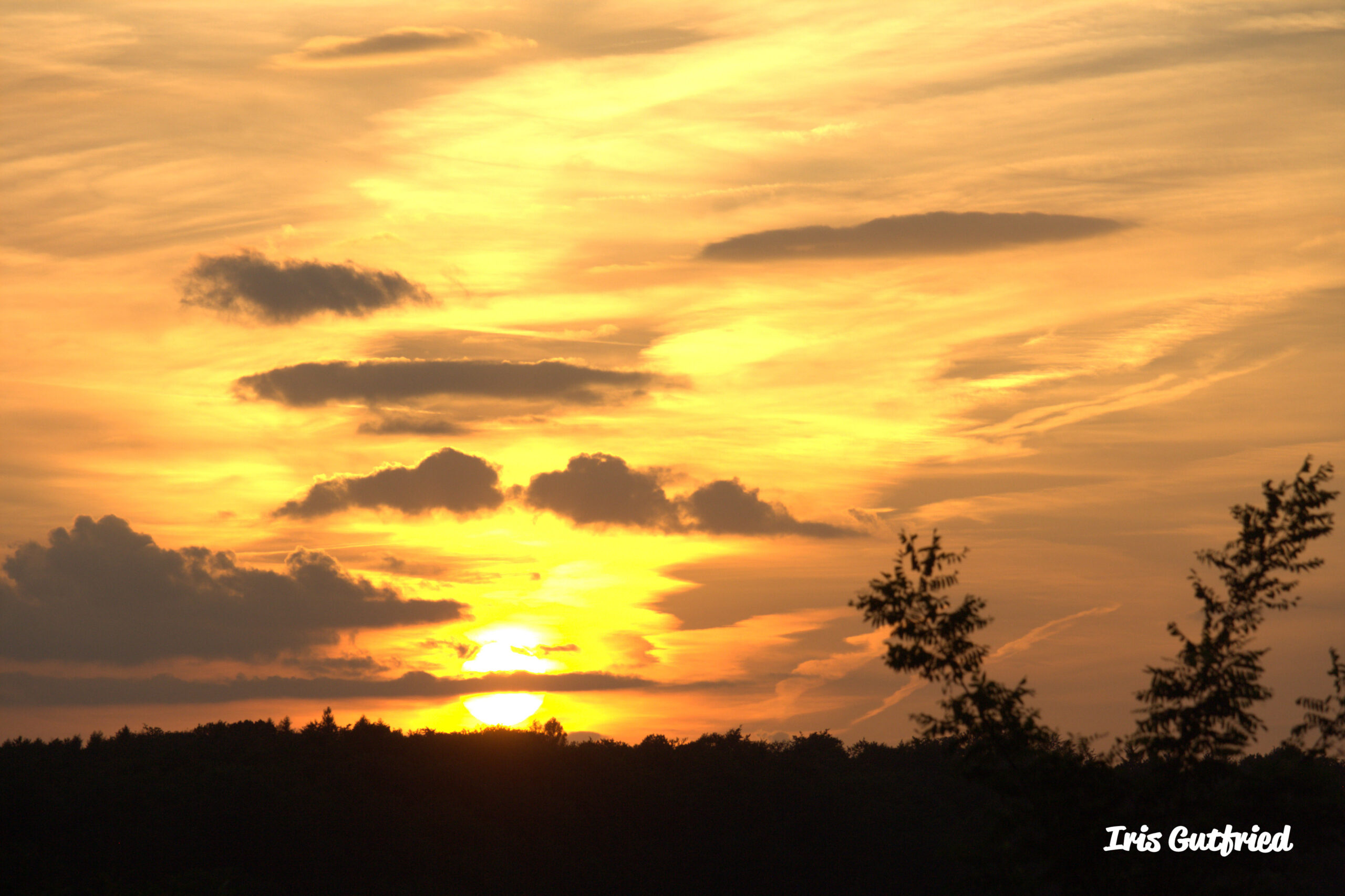 Mastering the First Impression: Your intriguing post title goes here coucher de soleil jardin des poètes 16062017